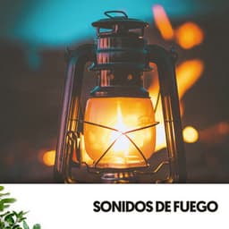 Sonidos de Fuego: Embracing the Flames of Transformation - Ruido Blanco Hart