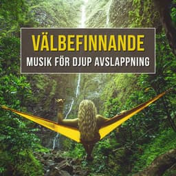 Välbefinnande: Musik för djup avslappning - Zen Musik Akademi