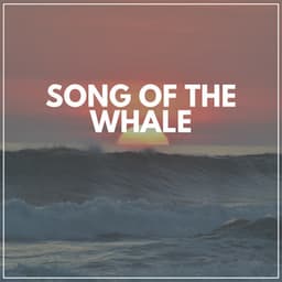 Song of the Whale - Sea Waves Sounds