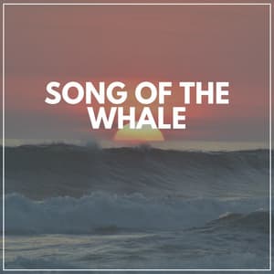 Song of the Whale - Sea Waves Sounds