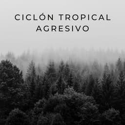 Ciclón Tropical Agresivo - Lluvia y Naturaleza