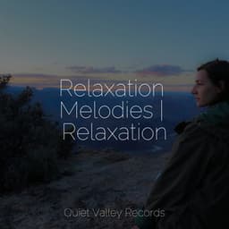 Relaxation Melodies | Relaxation - Echoes Of Nature