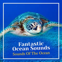 Fantastic Ocean Sounds - Sounds Of The Ocean