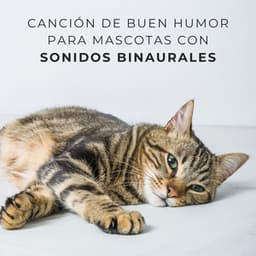 Canción De Buen Humor Para Mascotas Con Sonidos Binaurales - Chico binaural