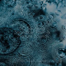 50 Soothing Sounds of Rain & Nature Sounds - Massage Therapy Music