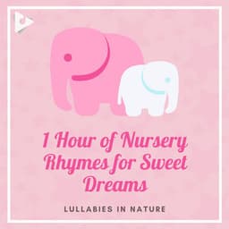 1 Hour of Nursery Rhymes for Sweet Dreams - Lullabies In Nature