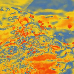 Dragonflies with Birds and Snake - Black Bombaim