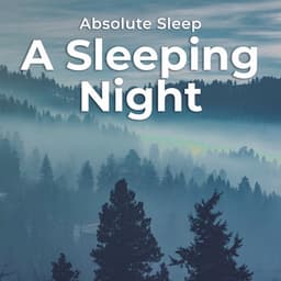 A Sleeping Night - Absolute Sleep