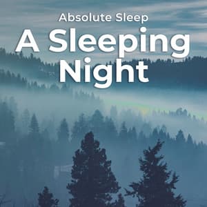 A Sleeping Night - Absolute Sleep