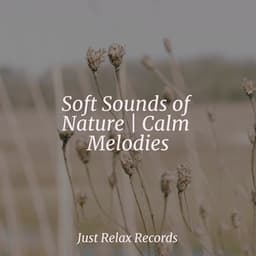Soft Sounds of Nature | Calm Melodies - Meditación
