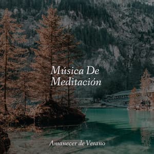 Música De Meditación - Musica Romantica Ensemble