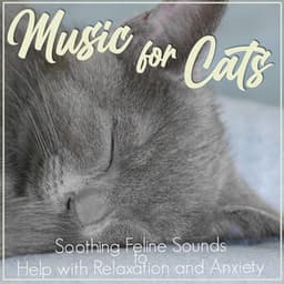 Music For Cats: Soothing Feline Sounds to Help with Relaxation and Anxiety - RelaxMyCat