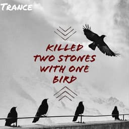 Killed Two Stones with One Bird - Trance