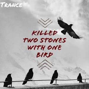 Killed Two Stones with One Bird - Trance