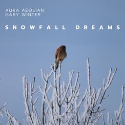 Snowfall Dreams: A Journey Into Winter’s Embrace - Aura Aeolian