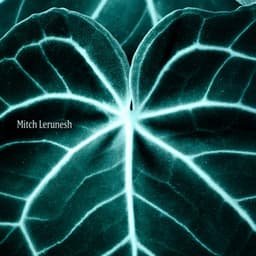 Nerve Garden Rituals, Polyvagal - Mitch Lerunesh