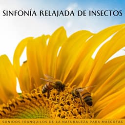 Sinfonía Relajada De Insectos: Sonidos Tranquilos De La Naturaleza Para Mascotas - Mejores Sonidos ASMR
