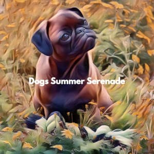 Dogs Summer Serenade - Elevator Music All-Stars