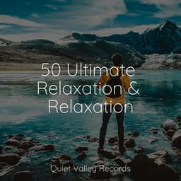 50 Ultimate Relaxation & Relaxation - Meditação Yoga