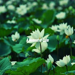 A Moment of Calm - Coffee House Instrumental Jazz Playlist