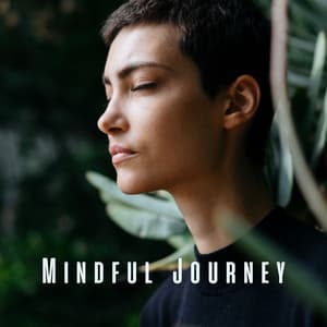 Mindful Journey: Relaxing Tunes for Centered Meditation - Meditation Aura Sounds