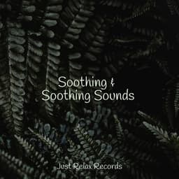 Soothing & Soothing Sounds - Lullabyes