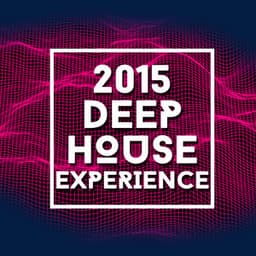 2015 Deep House Experience - Electro House DJ