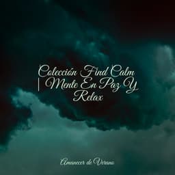 Colección Find Calm | Mente En Paz Y Relax - Rising Higher Meditation