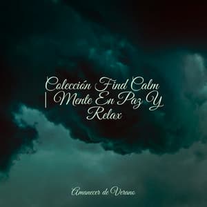 Colección Find Calm | Mente En Paz Y Relax - Rising Higher Meditation