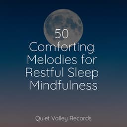 50 Comforting Melodies for Restful Sleep Mindfulness - Rain Sounds Collection