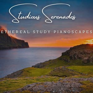Studious Serenades: Meditative Piano for Concentration - Relaxing Piano Radio