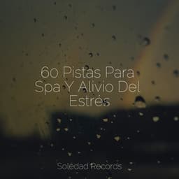 60 Pistas Para Spa Y Alivio Del Estrés - Sueños Triplete