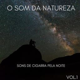 O Som Da Natureza: Sons De Cigarra Pela Noite Vol.1 - Musica de Piano Clásicos