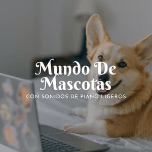 Mundo De Mascotas Con Sonidos De Piano Ligeros - Tranquilidad Piano