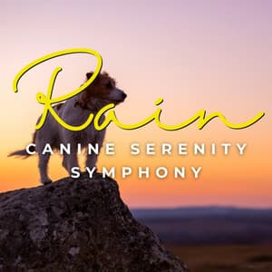 Paws in the Rain: Canine Serenity - Rain Sounds Nature Collection