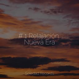 # 1 Relajación Nueva Era - Meditação Yoga Maestro