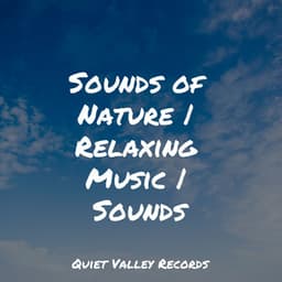 Sounds of Nature | Relaxing Music | Sounds - Pro Sound Effects Library