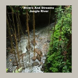 Jungle River - Rivers and Streams