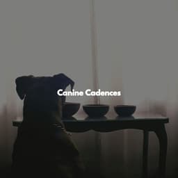 Canine Cadences - Easy Listening Instrumental Music