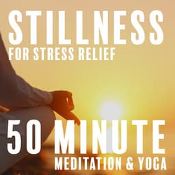 Stillness for Stress Relief: 50 Minute Meditation & Yoga - Anandra