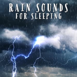 Rain Sounds For Sleeping - Nature Field Recordings