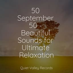 50 September 50 - Beautiful Sounds for Ultimate Relaxation - Elements of Nature