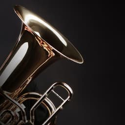 Peaceful Orchestra Sounds for Baby Sleep - Charles Anderson