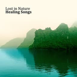 Lost in Nature: Healing Songs, Discover, Meditation, Relax, Natural Sounds - Yoga Meditation Guru