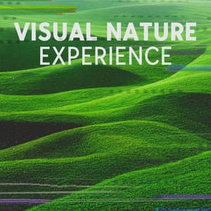 Visual Nature Experience: Diverse Nature Music for Yoga and Relaxation - Deep Visualization Zen