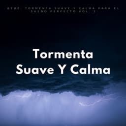 Bebé: Tormenta Suave Y Calma Para El Sueño Perfecto Vol. 2 - Acerca de una tormenta repentina