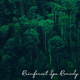 Rainforest Spa Remedy: Calming Relaxation at Spa, Full Body Massage Spa - Green Nature SPA