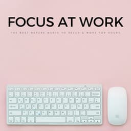 Focus At Work: The Best Nature Music To Relax & Work For Hours - Nature & Rainforest Sounds Collective