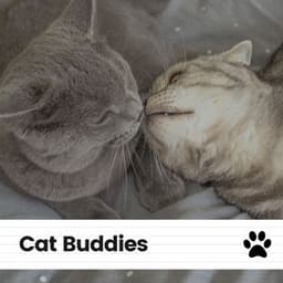 Cat Buddies - Music for Cats Peace