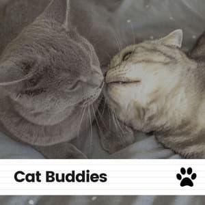 Cat Buddies - Music for Cats Peace
